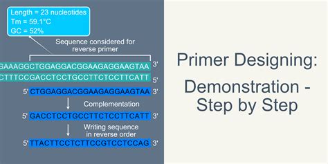 how to design qpcr primers and explore the future of genetic engineering