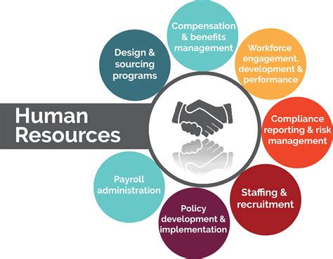 what does a director of human resources do in terms of balancing the needs of the company with the well-being of its employees?